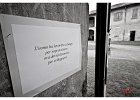 DSC 8901